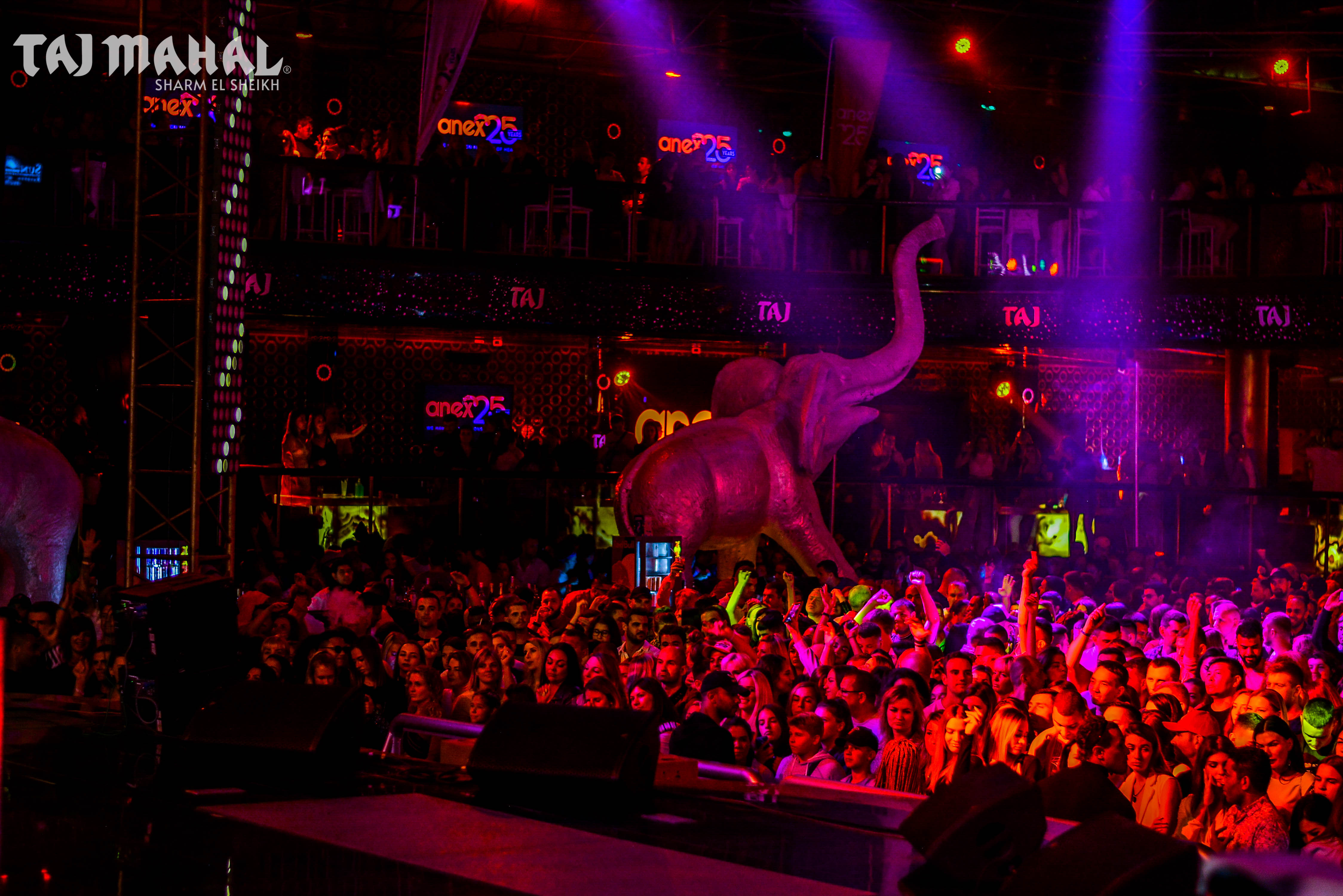 Packed Taj Mahal dance floor under red lighting with the club elephant sculpture